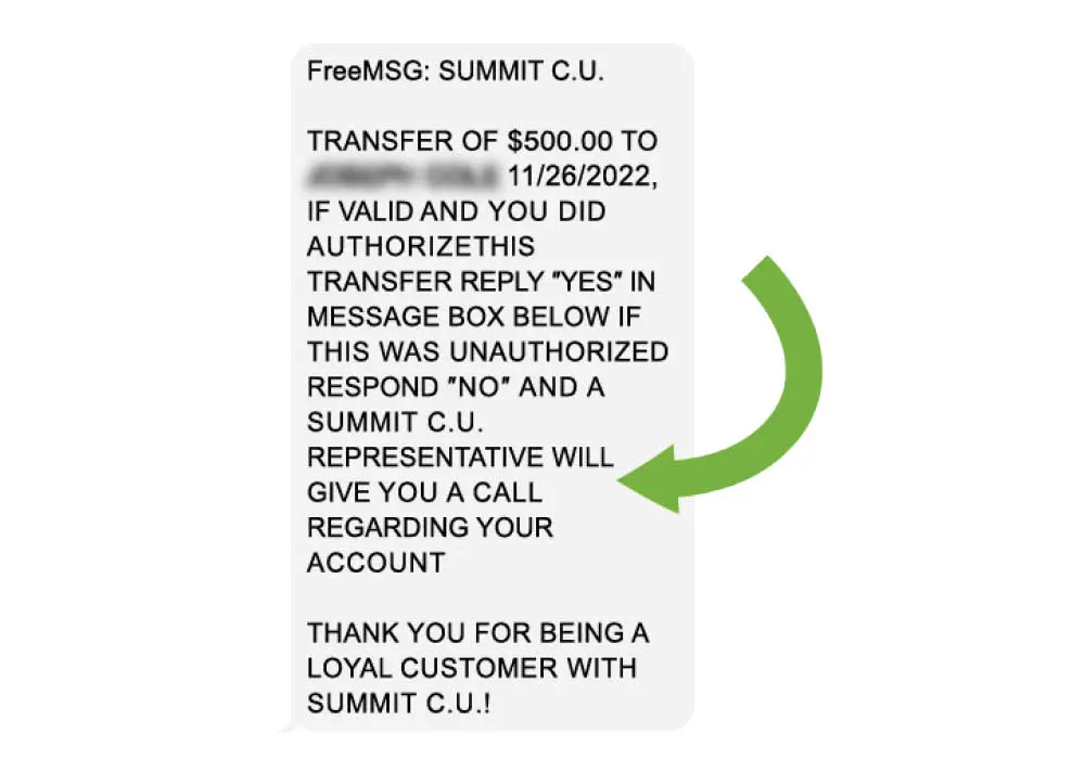 Example of Fraud Text